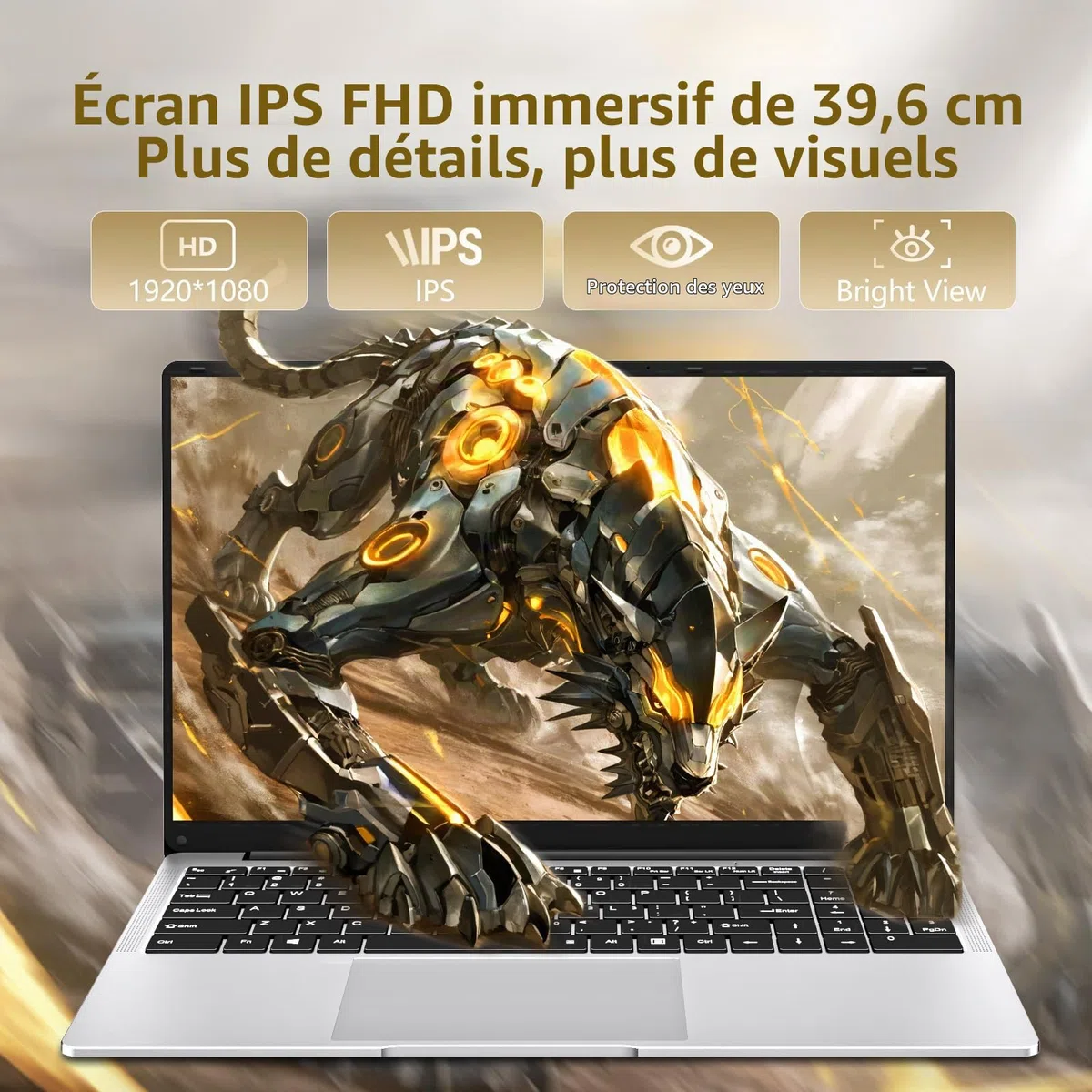 Ordinateur portable 15,6 pouces, Pentium 4425Y, 16Go RAM 256Go SSD