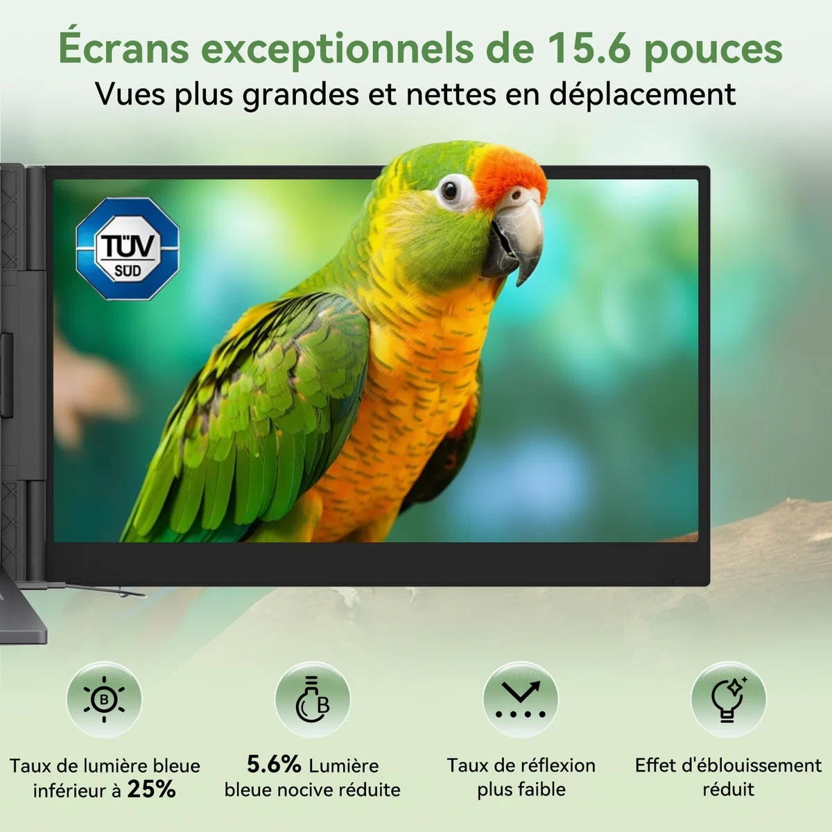 Blackview Écran Portable 15,6 Pouces, 1,2 kg Ultra-Léger, Double Écran PC Portable, Extension d'Écran à Câble Unique, TÜV Confort Oculaire, Mac, Windows, ChromeOS, Switch