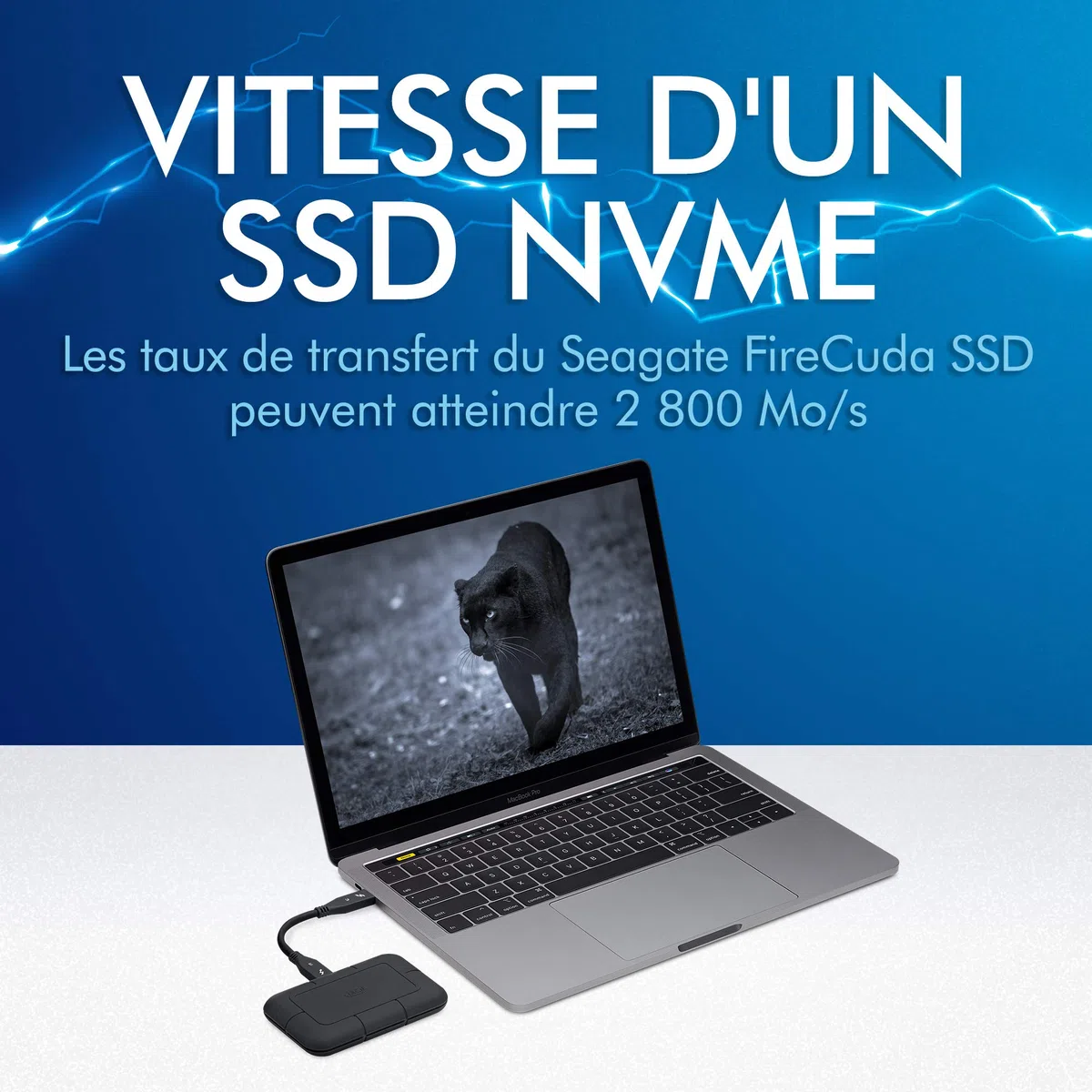 LaCie Rugged SSD Pro 1To, Disque SSD externe, PC Mac & iPad, 1 Mois Adobe CC, Data Rescue Service (STHZ1000800)