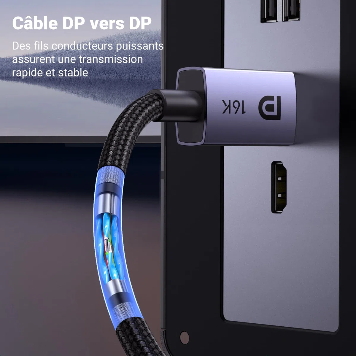UGREEN Câble DisplayPort 2.1 Certifié VESA Câble DP vers DP 2.1 Supporte 16K 30Hz 8K 60Hz 4K 240Hz 40Gbps HDR HDCP 3D HDR Nylon Tressé Compatible avec Laptop Moniteur Gaming HDTV Projecteur (1M)